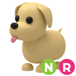Dog NR