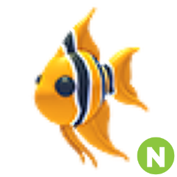 Angelfish N