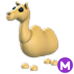 Camel M