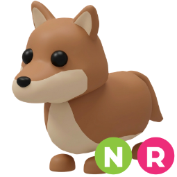 Dingo NR