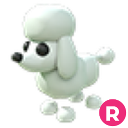 Poodle R
