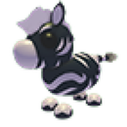 Ash Zebra