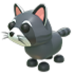 Raccoon