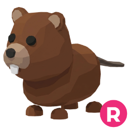 Beaver R