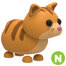 Ginger Cat N