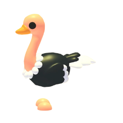 Ostrich