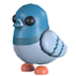 Rock Pigeon