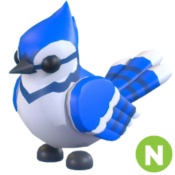 Blue Jay N