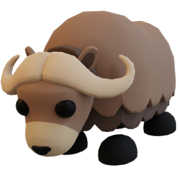Musk Ox