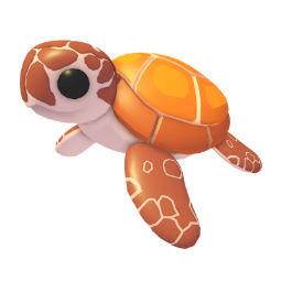 Sea Turtle