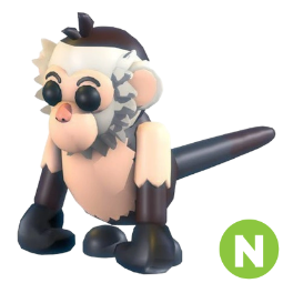 Capuchin Monkey N