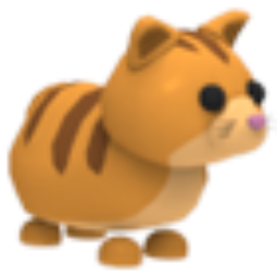 Ginger Cat