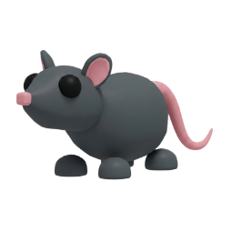 Rat 🎯