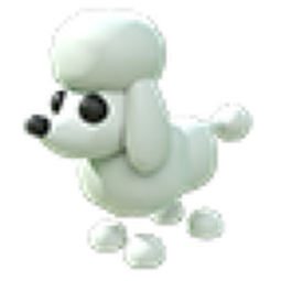 Poodle