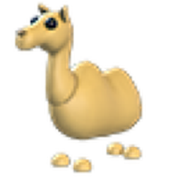 Camel