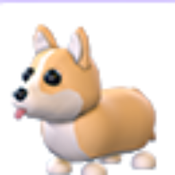 Corgi