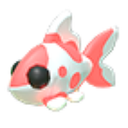 Koi Carp