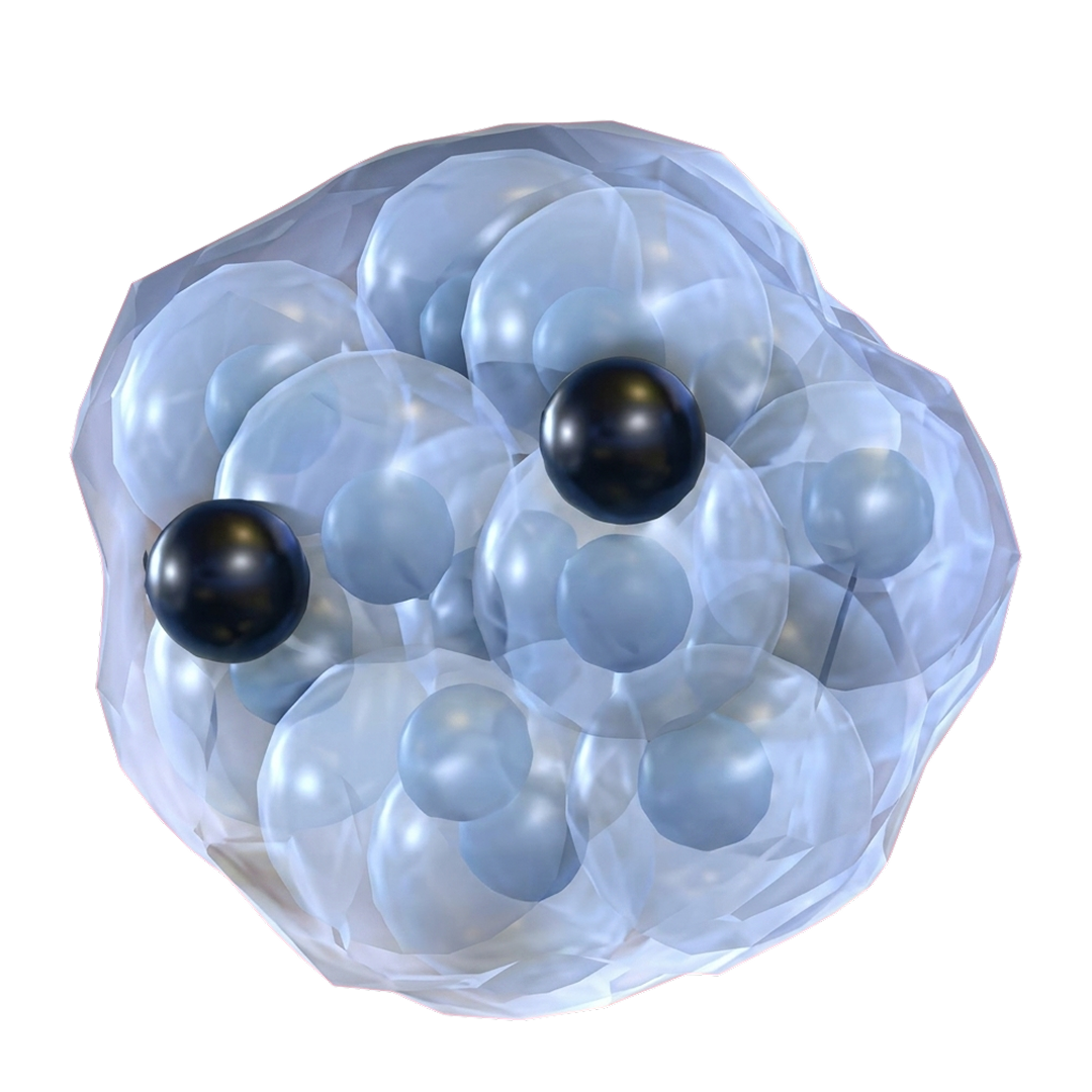 ⭐ NF Frogspawn ⭐