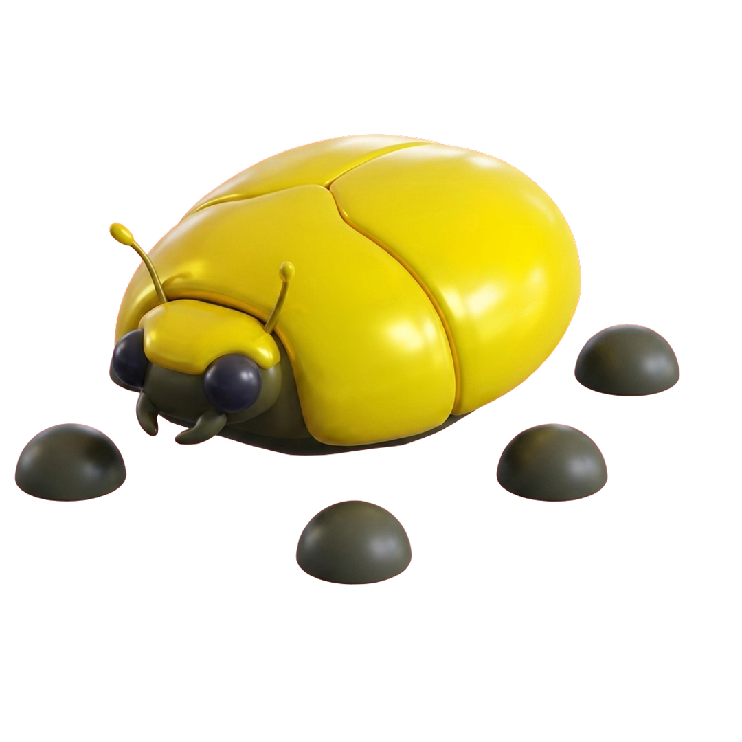 ⭐ MFR Giant Gold Scarab ⭐