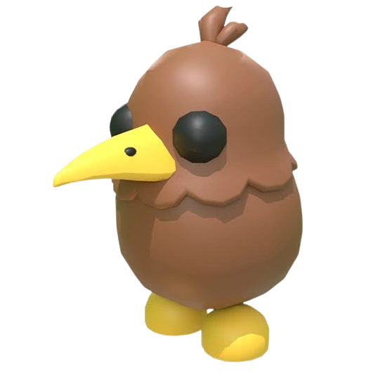 ⭐ NFR Kiwi ⭐