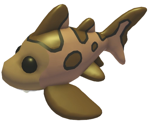 ⭐ MF Leopard Shark ⭐