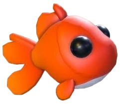 ⭐ NF Goldfish ⭐