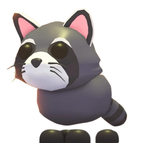 ⭐ F Raccoon ⭐