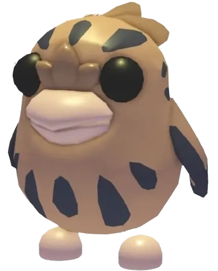 ⭐ NF Tawny Frogmouth ⭐