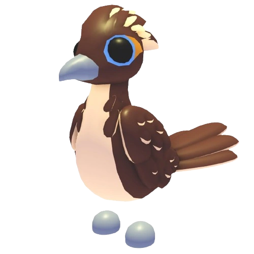 ⭐ M Roadrunner ⭐