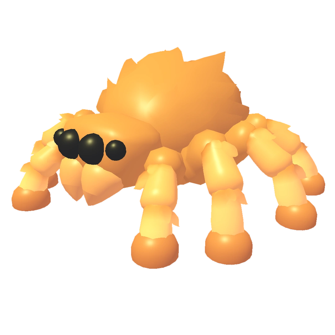 ⭐ F Jumping Spider ⭐