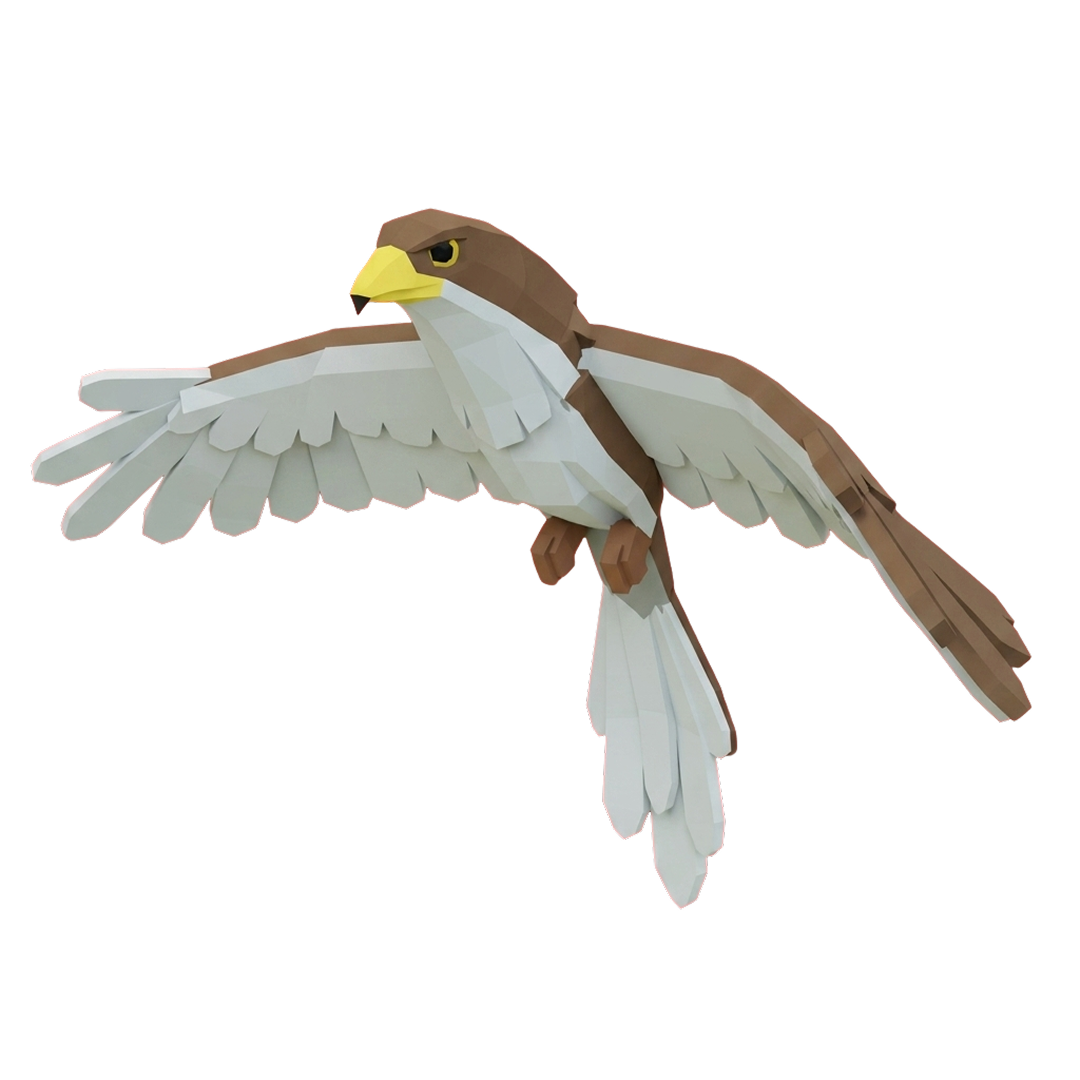 ⭐ Hawk - Adopt Me ⭐