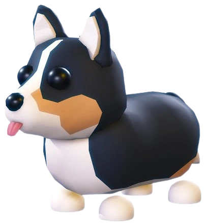 ⭐ M Royal Corgi - Adopt Me ⭐