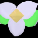 [Boosting] Petal Belt