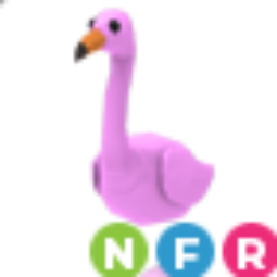 Flamingo NFR
