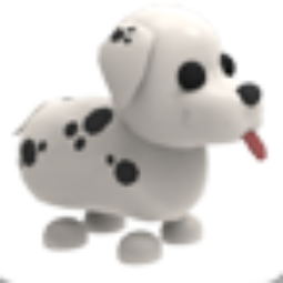 Dalmatian