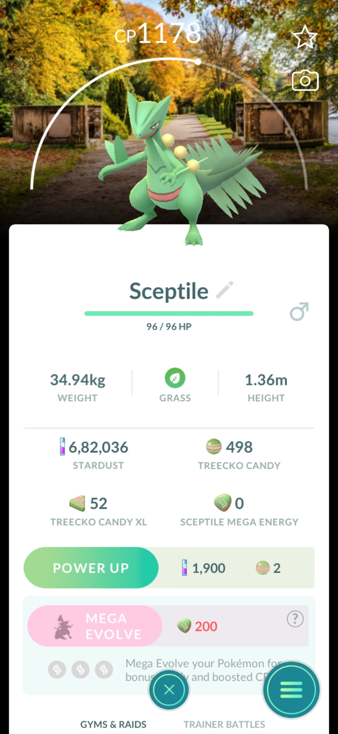 🔥 San Francisco Background Sceptile 🔥