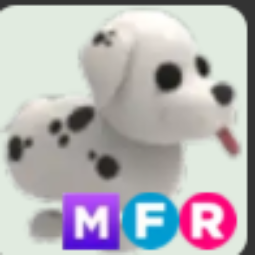Dalmatian MFR
