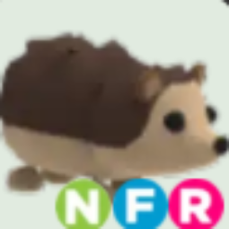 Hedgehog NFR