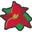 Poinsettia🌸