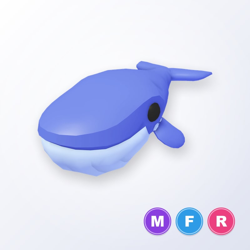 Blue Whale MFR | Adopt Me