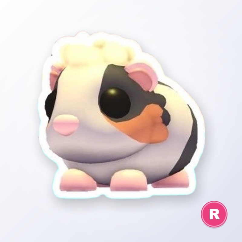 Tortoiseshell Guinea Pig R | Adopt Me