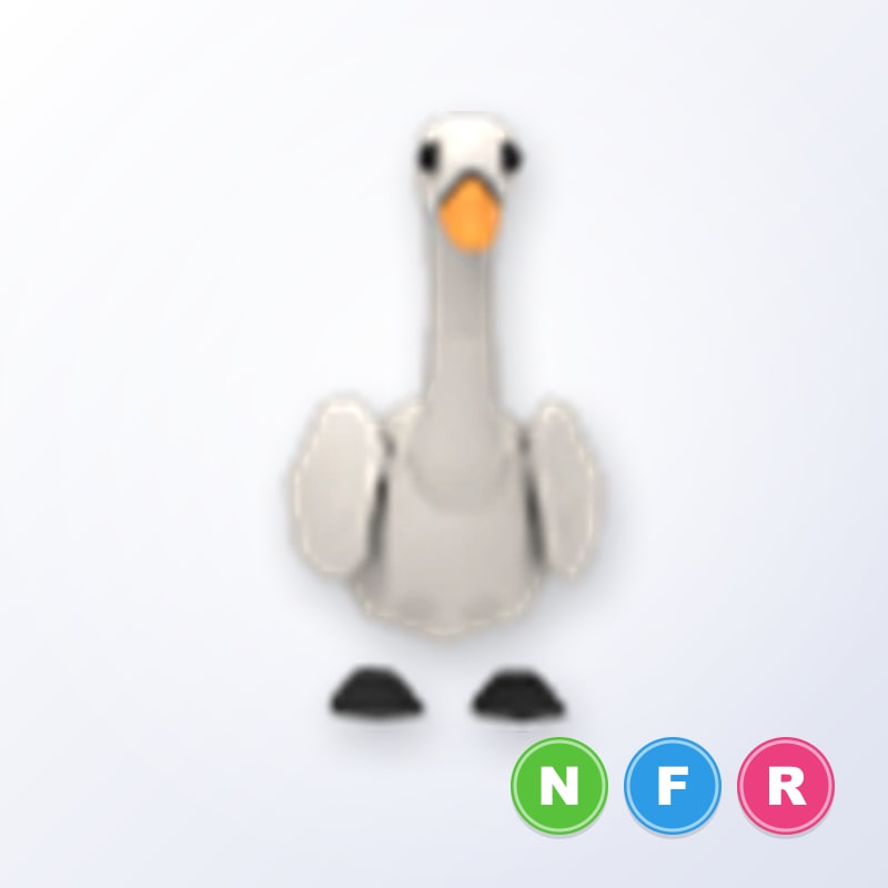Swan NFR | Adopt Me