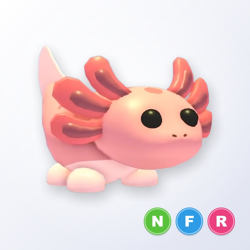 Axolotl NFR | Adopt Me