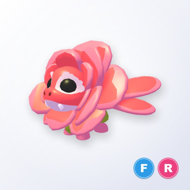 Rose Dragon FR | Adopt Me