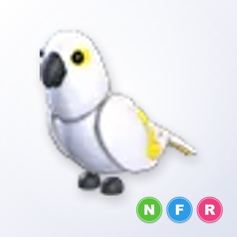 White Amazon NFR | Adopt Me