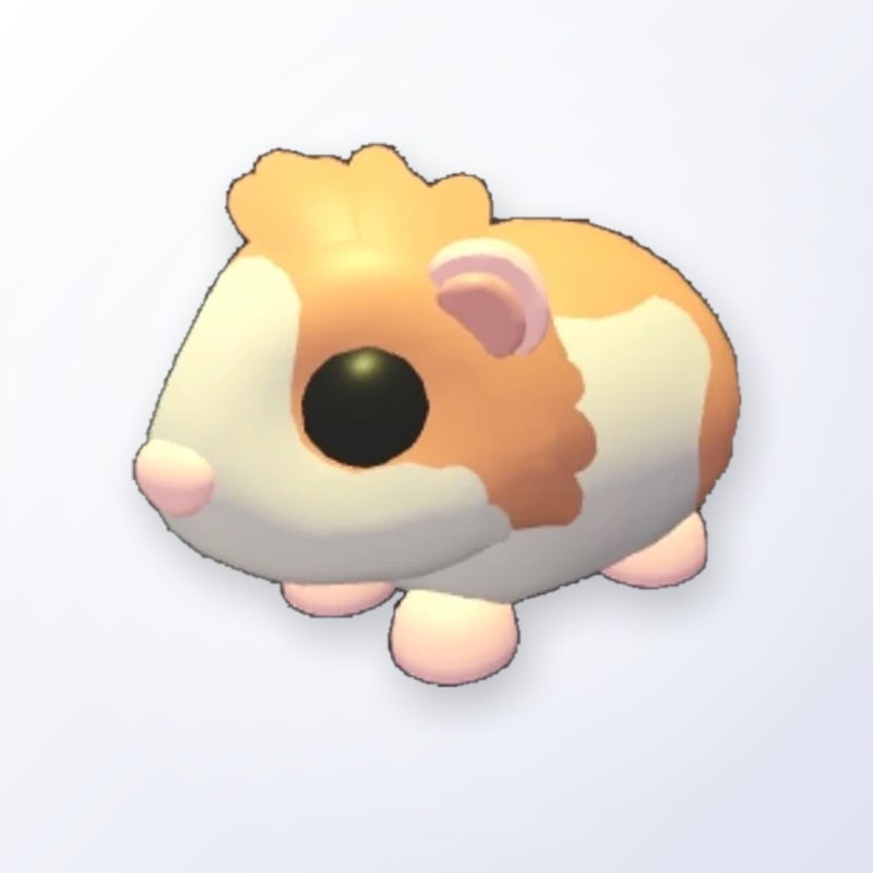 Red Dutch Guinea Pig | Adopt Me