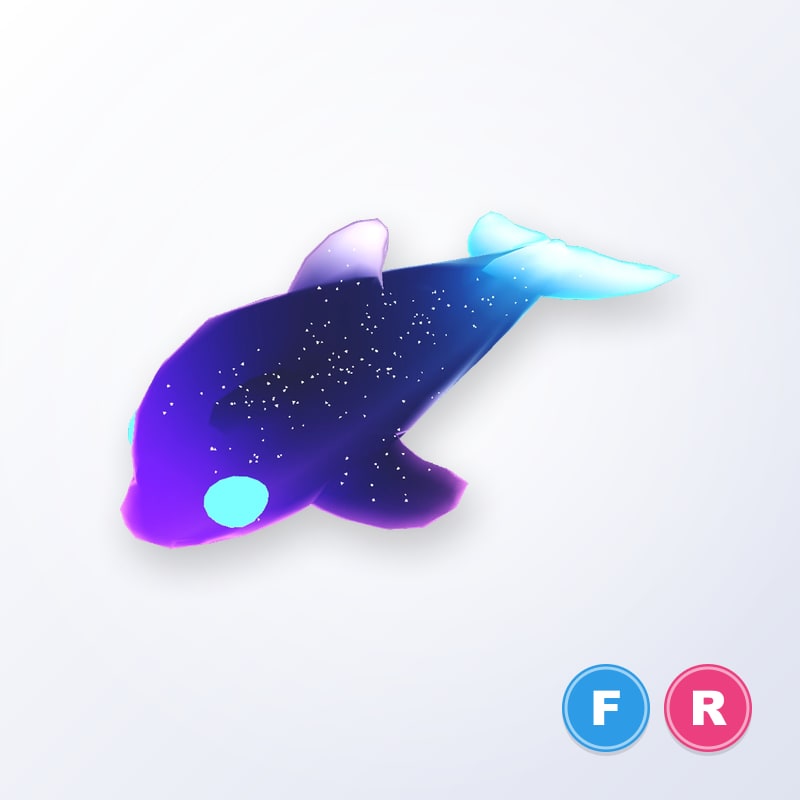 Glormy Dolphin FR | Adopt Me
