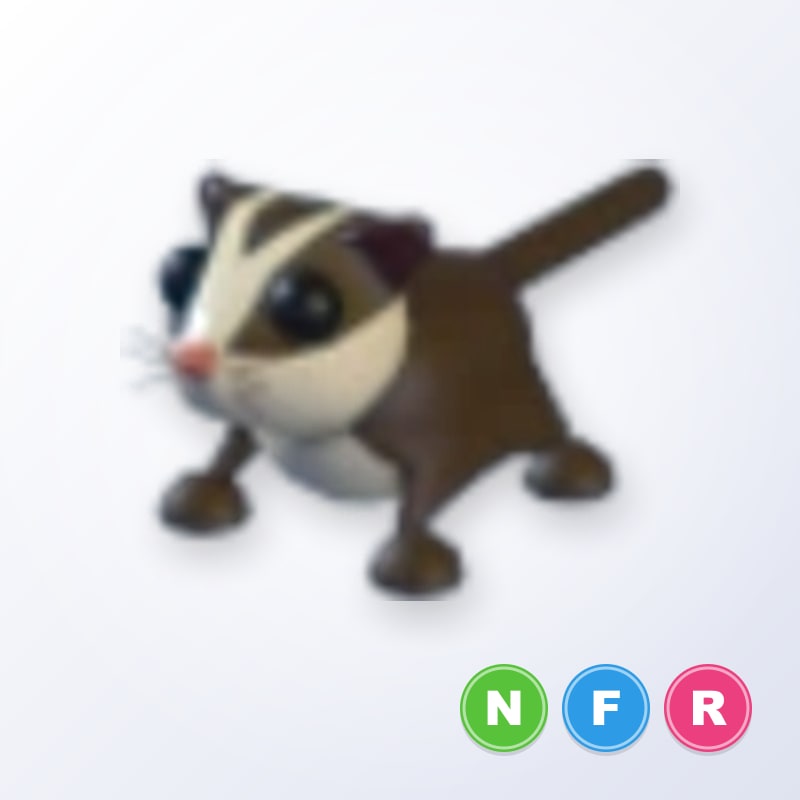 Sugar Glider NFR | Adopt Me