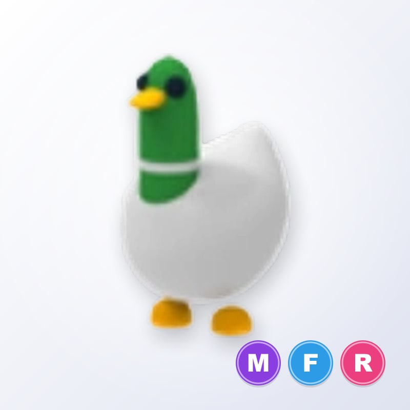 Silly Duck MFR | Adopt Me