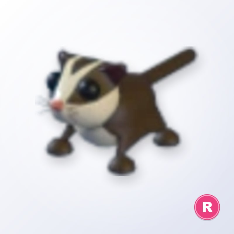 Sugar Glider R | Adopt Me